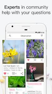 Главная страница » приложения » развлечения » flower identification——identify plants camera. Picturethis Plant Identification Apk Download For Android
