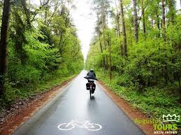 Fahrradstrasse Im Nationalpark Muritz Am Havelradweg C Augustustours Auf Https Www Augustustours De De Radreisen Havelrad Radtouren Nationalpark Muritz Reisen