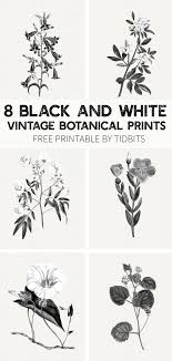 Black And White Botanical Prints Beautiful And Minimalistic Wall Art Grab Your Free Black And White Vintage Botanical Prints By Black And White Wall Art Free Wall Art Botanical Prints Free