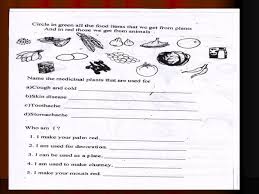 A collection of downloadable worksheets, exercises and activities to teach healthy food, shared by english language teachers. Amazing Food We Eat Class 4 Worksheets Jaimie Bleck