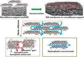In methoxymethane, the lone pairs on the oxygen are still there. Graphene Membranes For Water Desalination Npg Asia Materials