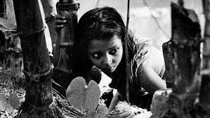 Read 276 reviews from the world's largest community for readers. Pather Panchali Movie Masterclass