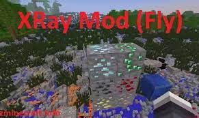 Looking for the fabric version? Xray Mod Fly 1 11 2 1 10 2 1 9 4 For Minecraft Enables Xray Vision