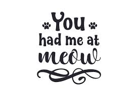 Download You Had Me At Meow Svg Cut File By Creative Fabrica Crafts Creative Fabrica PSD Mockup Templates
