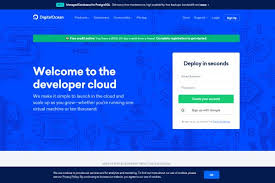 It offers a wide array of services, but what we're interested in is its fully customizable cloud vps, which digitalocean refers to as droplets. Top Free Vps Trial No Credit Card Required 2021