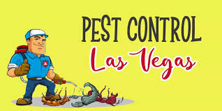For property pest control, the most common. The 8 Best Options For Pest Control In Las Vegas 2021