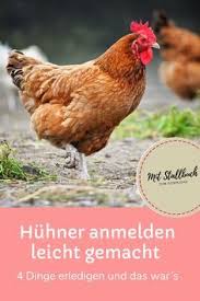 Huhner Beim Veterinaramt Und Der Tierseuchenkasse Anmelden Dokumente Aufbewahren Nur Wegen Der Paar Huhner In 2020 Huhner Huhner Im Garten Huhnerhaltung Im Garten