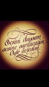 Sesini Duysam Sesine Sarilacagim Oyle Ozledim Yazi Sanati Alintilar Bunu Unutma