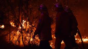 On the bottom of the unit's base, adjacent to the accessory holders. Australia Bushfires 2020 How Big Is The Area That Has Been Burnt Daily Telegraph