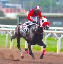 Jackson ante cinco rivales en el Luis Olaechea, inscritos en los clásicos  aquí