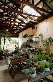 Indoor Plants Need Your Love And Affection More Than Ever Indoor Farming Planting Flowers Plant Nursery