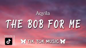 Aqyila Vibe For Me Bob For Me Lyrics Baby It S The Vibe For Me Tiktok Song Youtube