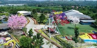 Kode cabang bca adalah kode yang dilakukan untuk dapat bertransaksi rekening bca yang kamu tuju. Libur Lebaran Di Taman Bunga Sakura Cikao Park Rmoljabar