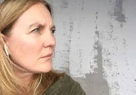 Three Months in Egypt, Jordan and Israel