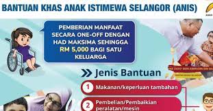 Program bantuan anak istimewa selangor atau dengan singkatan nama anis telah dilaksanakan bermula pada tahun 2019. Bantuan Khas Anak Istimewa Selangor Anis Permohonan Insentif Had Maksima Rm 5 000 One Off