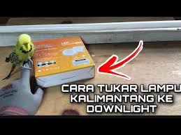 Bab.la is not responsible for their content. Cara Tukar Lampu Downlight Led Dari Lampu Kalimantang Jimat Duit Elektrik Youtube