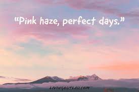 I've never met a sunset i didn't like. 100 Catchy Instagram Captions For Sunsets To Engage Your Audience Livingoutlau