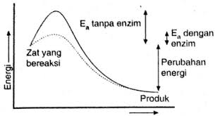 Ha ini dengan sendirinya berkaitan erat dengan falsafah hidup yang mengharapkan guru menjadi model. Perhatikan Grafik Mekanisme Kerja Enzim Berikut Pernyataan Berikut Yang Benar Mengenai Kerja Enzim Mas Dayat