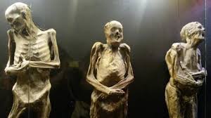 Museo de las momias de guanajuato. Mummies Review Of Museo De Las Momias De Guanajuato Guanajuato Mexico Tripadvisor