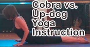 Pin By Heart Alchemy Yoga On Yoga Yoga Instructions Easy Yoga Poses Types Of Yoga