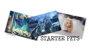 Oh how we adore toilet paper roll crafts for kids all year round! Good And Easy Small Starter Pets For Kids Mommy High Five