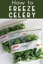 How To Freeze Celery Simple Living Creative Learning