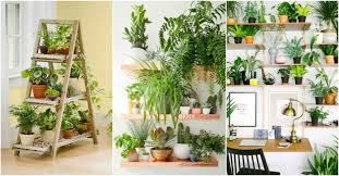 This unique diy indoor plant display takes your table top center piece to a whole new level of green. Plant Display Archives My Amazing Things