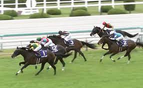 デフォルトにリセット をクリックすると、一連の各設定をデフォルトに戻すことができます。 コンプライアンス、ルーティング、不快なコンテンツ、検疫などの gmail の設定は、g suite 管理者が行います。 æ€¥å‹Ÿ ã‚«ãƒ¬ãƒ³ãƒ–ãƒ¼ã‚±ãƒ‰ãƒ¼ãƒ«ãŒå‹ã¦ã‚‹g1ãƒ¬ãƒ¼ã‚¹ ã†ã¾ãªã¿ ç«¶é¦¬ã«ã‚…ãƒ¼ã™é€Ÿå ±