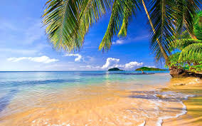 Free download hd or 4k use all videos for free for your projects Tropical Beach Wallpaper Hd 1920x1080 Novocom Top