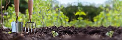 Agricultura synonyms, agricultura pronunciation, agricultura translation, english dictionary definition of agricultura. Agricultura Ecologica Divulgacion Dinamica