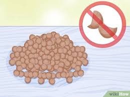 They are suited to cooler, temperate regions but can also be grown through the winter in the. How To Grow Lentils 12 Steps With Pictures Wikihow