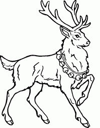 Download or print this realistic deer coloring pages for adults. Reindeer Coloring Pages Free Coloring Home