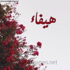 هيفاء شكل 18 صوره الورد الأحمر للإسم بخط رقعة كتابة على الورد 2021