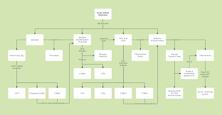 Cellular Respiration Concept Map Template Lucidchart