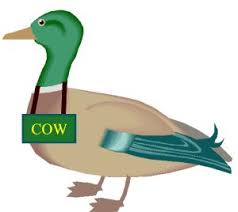 If It Walks Like a Duck - The Thinking Moms' Revolution