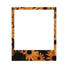 Polaroid Aesthetic Vintage Grunge Tumblr Love Flower Flowers Frames Frame Picsart Freetoedi Polaroid Picture Frame Polaroid Template Polaroid Frame