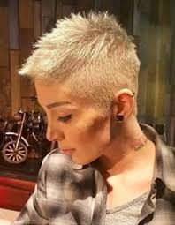 Sandra Schwede (sandraellen2079)