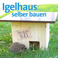 In dieser zeit fressen sich die igel ihren winterspeck an, damit sie ab november, dezember in den winterschlaf gehen können. Igel Uberwintern Helfen Das Perfekte Igelhaus Fur Den Winterschlaf Bayern 1 Radio Br De