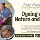 Natural Dyeing: Indigo & Shibori