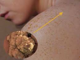 CHASE Middle releases honor roll