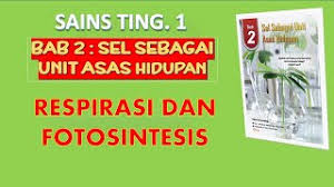 Sel sebagai unit asas hidupan 2. Cell Respiration And Photosynthesis