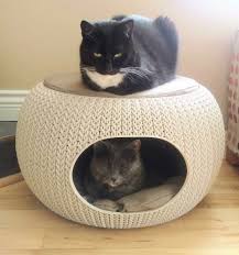 Pipp And Pippa