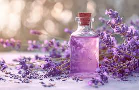Lavender in Men’s Fragrances