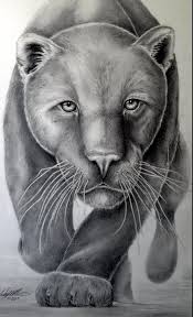 My Panther Drawing Pencil Graphite Black Panther Drawing Panther Art Panther