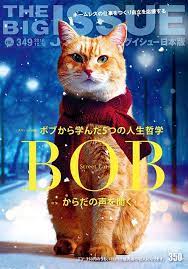 pin by dusti klingler on street cat bob street cat bob cat clothes cats