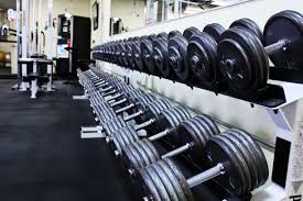 Maybe you would like to learn more about one of these? Hq Definition Dumbbell Backgrounds By Wayne Edelman Gym Dumbbell Wallpaper Hd 4898x3265 Wallpaper Teahub Io