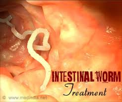 Intestinal Worm Treatment Home Remedies