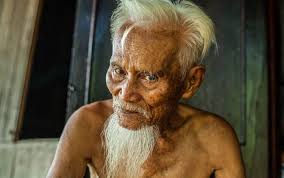 Onion juice cure for gray hair. How To Reverse Gray Hair Naturally Practical Guide