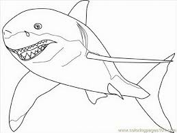 Dogs love to chew on bones, run and fetch balls, and find more time to play! Great White Shark Coloring Pages Coloring Home
