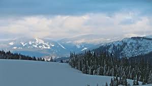 31 de rezultate pentru eticheta stana de vale. Stana De Vale Crisana Informations And Image Galery Near By Hotels